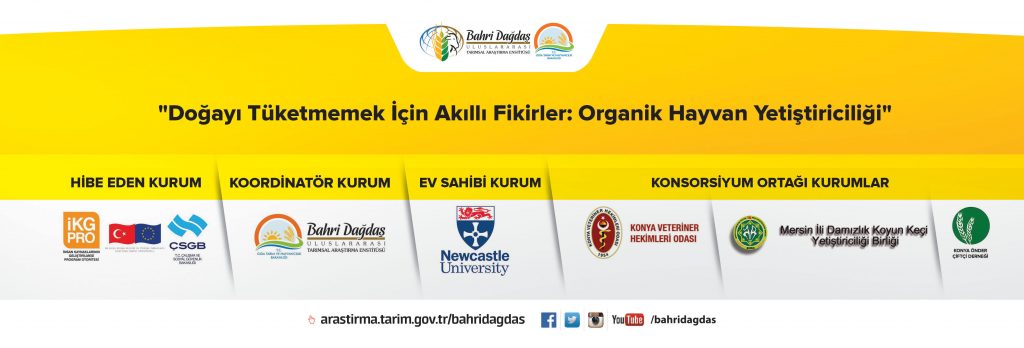 bahri dağdaş - proje