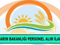 GIDA, TARIM VE HAYVANCILIK BAKANLIĞI SÖZLEŞMELİ PERSONEL ALIM İLANI.