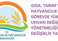 GÖREVDE YÜKSELME VE UNVAN DEĞİŞİKLİĞİ YÖNETMELİĞİNDE DEĞİŞİKLİK