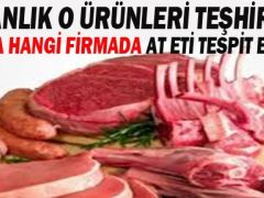 Bursa’da at eti skandalına karışan firmalar açıklandı