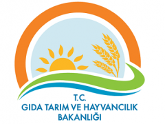 GTHB da 2011 – 2014 Yılı Tekniker Alım İncelemesi. 2015 Yılı Tahminleri.