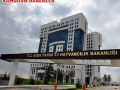 GIDA, TARIM VE HAYVANCILIK  BAKANLIĞI PERSONELİNE CEZA VERECEK AMİRLERİ KİMLER?