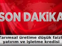 Düşük Faizli Yatırım ve İşletme Kredisi Kullandırılmasına İlişkin Tebliğ Yayınlandı.