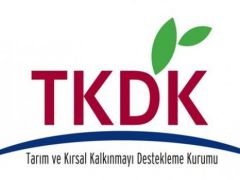 Tarım ve Kırsal Kalkınmayı Destekleme Denetçi, Uzman ve Destek Personeli Alım İlanı.