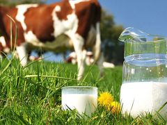 TÜİK, süt ve süt ürünleri üretim verilerini açıklandı.