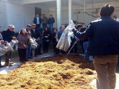 Geleceğin mühendislerine kayın mantarı yetiştiriciliği eğitimi.