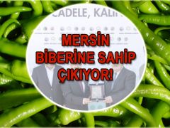 5 bin çiftçinin gelir kaynağı.