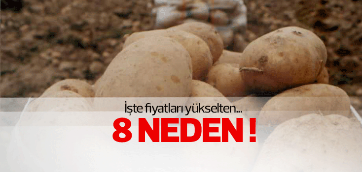 Patateste fiyatı yükselten 8 neden!