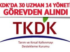 TKDK’da 30 uzman 14 yönetici görevden alındı