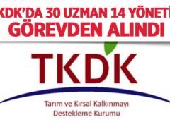 TKDK’da 30 uzman 14 yönetici görevden alındı