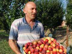 Eriğin Kilogram Fiyatı 1 Liraya Kadar Düştü.