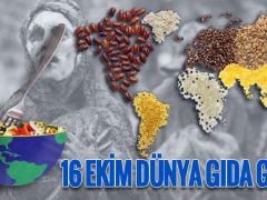 16 EKİM DÜNYA GIDA GÜNÜ