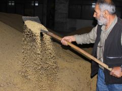 2 milyon tonluk soya ithalatına bakanlık el attı