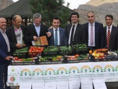 Gökten Dört Elma Düştü Projesi