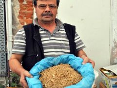 Ihlamurun kilosu 180 lirayı buldu