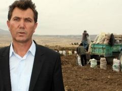 Niğde lahana üretiminde ikinci sırada