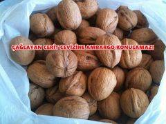 KALAYCI-ÇAĞLAYANCERİT CEVİZİNE AMBORGO UYGULANAMAZ