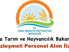 Gıda Tarım ve Hayvancılık Bakanlığı Sözleşmeli Personel Alımı