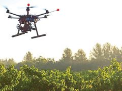 Drone’lar artık suya dalıp, ağaç dikecek