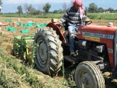 TÜİK, Ödemiş’te tarımsal yapının röntgenini çekiyor