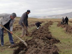 Van’da ‘Çekirdekten badem yetiştiriciliği’ projesi başladı