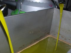Zeytinyağı fiyatı üreticilerin yüzünü güldürdü