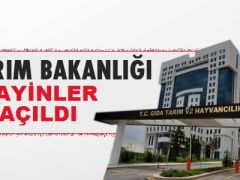 2021 Yılı Dönem Atama Boş Yerler Listesi yayınlandı