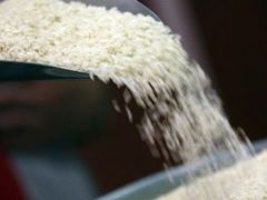 Mısır’da pirinç üretimini daraltıyor