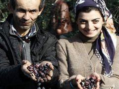 Dünya Zeytin Günü’ne prim desteği damgasını vurdu