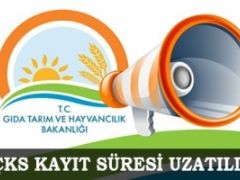 2016 ÇKS Başvuru süresi uzatıldı