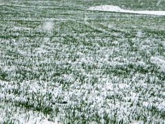 Meteorolojiden buzlanma ve zirai don uyarısı