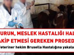 Memurun meslek hastalığına yakalanması halinde takip edilmesi gereken prosedür