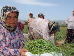 Tarımsal yayım projesi başvuruları başladı