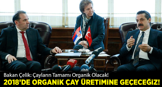 Bakan Çelik, 2018’de organik çay üretimine geçeceğiz!