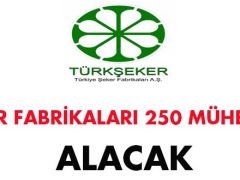 Şeker Fabrikaları Mühendis Alım İlanı