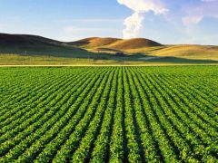 Dünya Tarım ve Gıda İşbirliği Zirvesi için çalışmalara başlandı