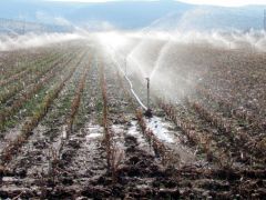 Kocaeli’de 13 bin 79 dekar tarım arazisi sulandı