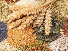 Hububat, baklagil, mısır destek başvurularında son gün 28 Nisan