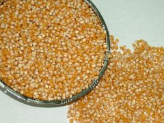 TMO’nun mısır ithalatında gümrük vergisi sıfırlandı