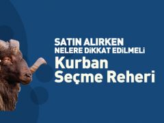 Kurbanlık Seçme Rehberi