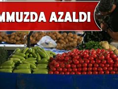 Tarım ÜFE temmuzda azaldı