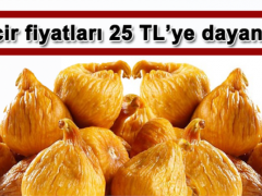 İncir fiyatları 25 TL’ye dayandı!