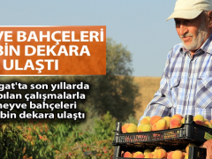 Yozgat’ta meyvecilik gelişiyor
