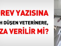 Görev yazısına şerh düşen memura disiplin cezası verilir mi?