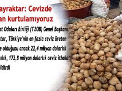 Dünya üretiminin yüzde 5,3’ü