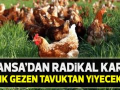 Fransa’dan radikal karar