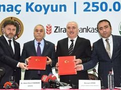 500 Bin Anaç Koyun’ için imzalar atıldı