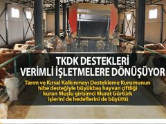 TKDK destekleri verimli işletmelere dönüşüyor