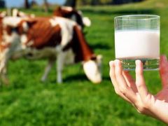 Üreticiler çiğ süt fiyatında artış bekliyor