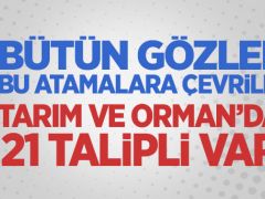 Tarım ve Orman’da Bakan Yardımcılığına 21 talipli var!